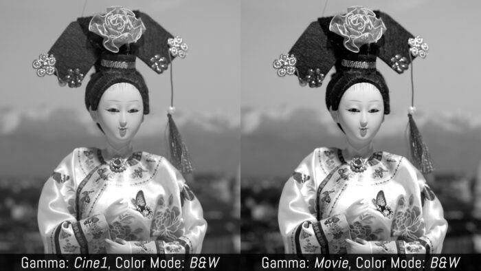 Gamma vẫn ảnh hưởng đến độ tương phản khi chụp đen trắng