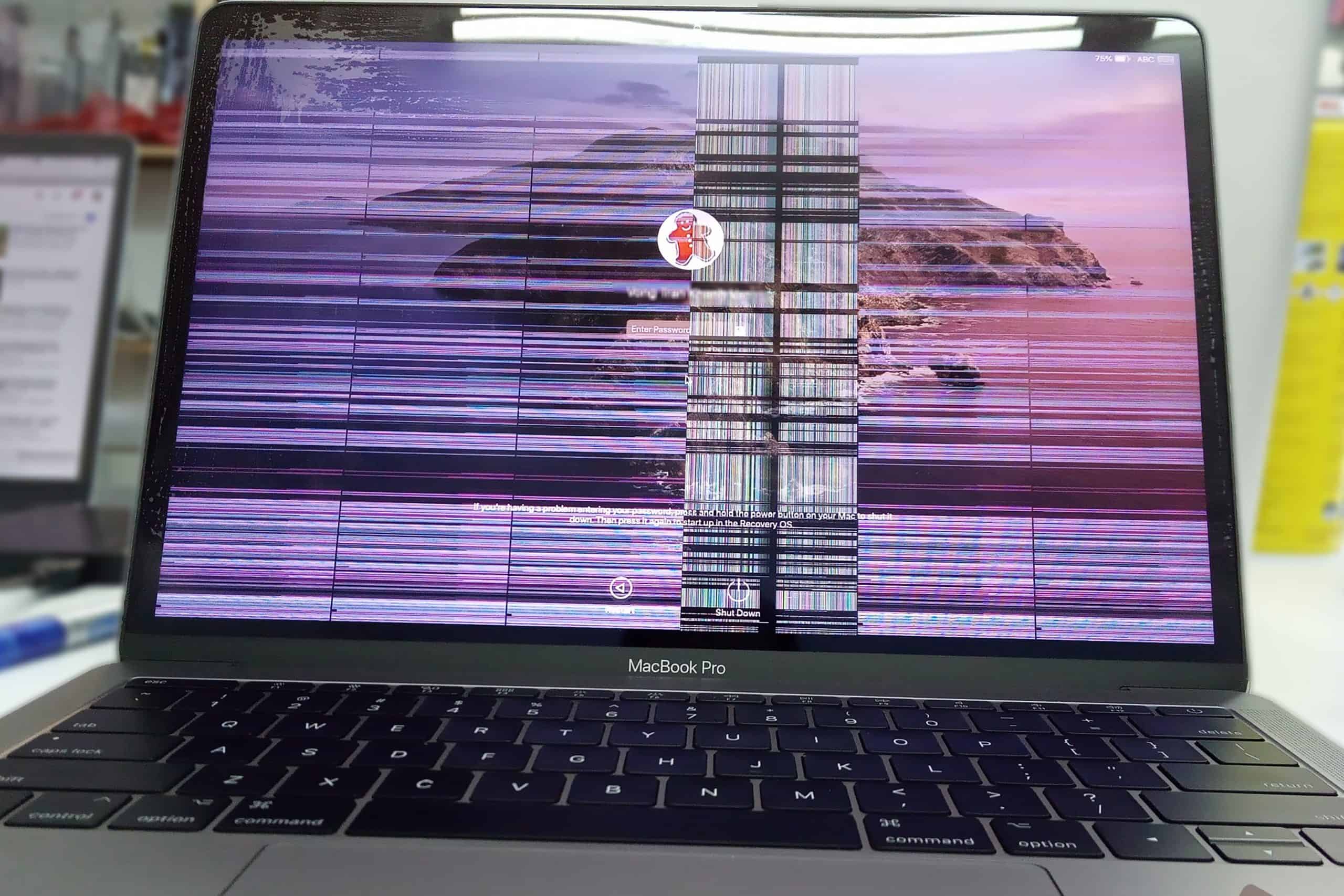 màn hình Macbook bị sọc do do lỗi kết nối giữa màn hình Mac và Screen card