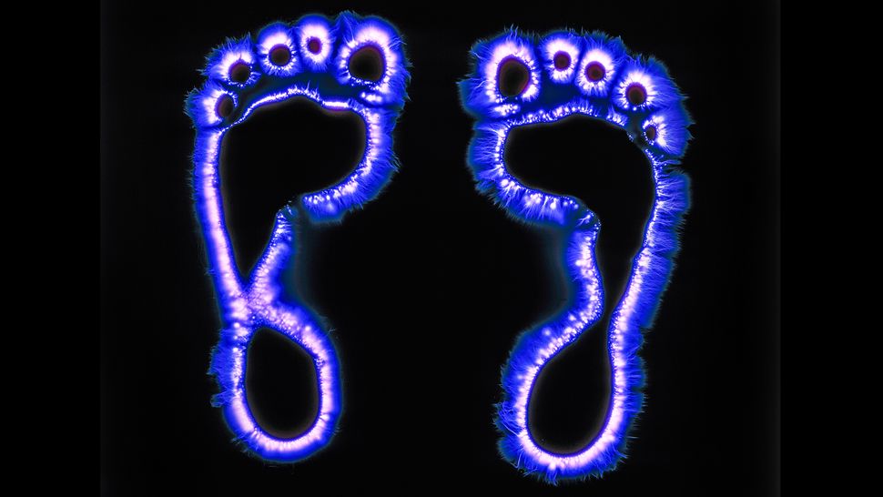 Bức màn bí ẩn của nhiếp ảnh Kirlian