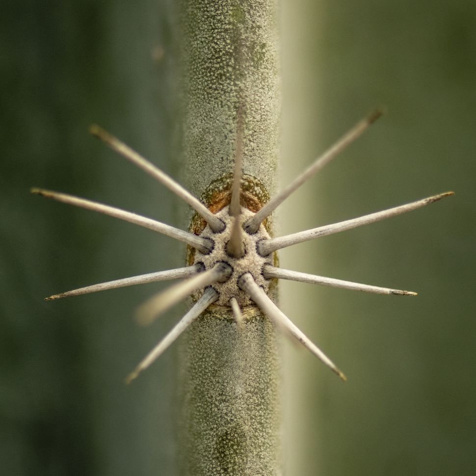 Những Bức Ảnh Đạt Giải Trong Cuộc Thi RHS Photographic Competition 2021