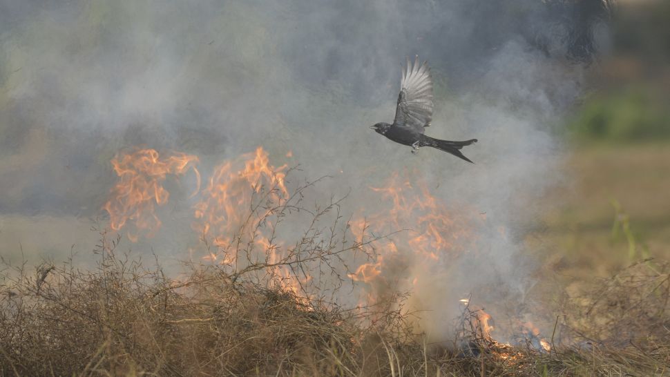 Những Bức Ảnh Đạt Giải Trong Cuộc Thi RHS Photographic Competition 2021