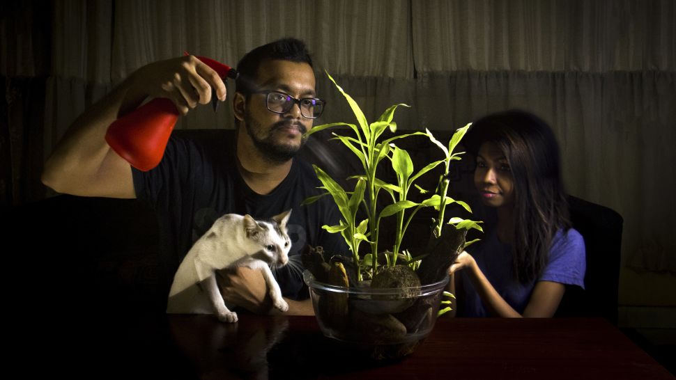 Những Bức Ảnh Đạt Giải Trong Cuộc Thi RHS Photographic Competition 2021