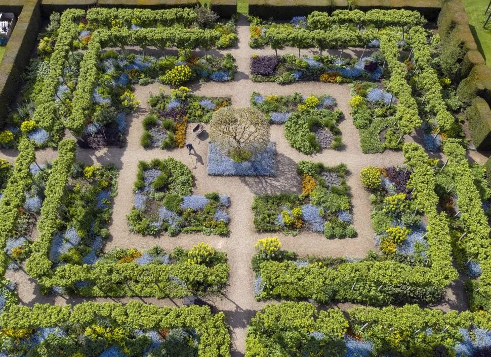 Những Bức Ảnh Đạt Giải Trong Cuộc Thi RHS Photographic Competition 2021