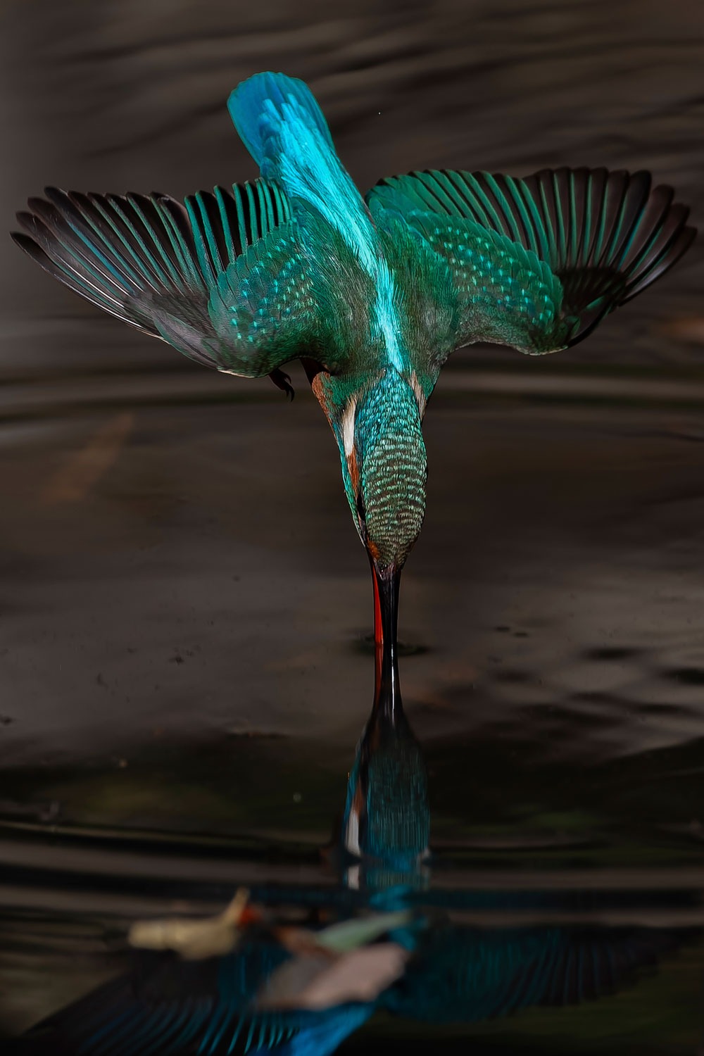 Bài dự thi được đánh giá dựa trên nhiều tiêu chí