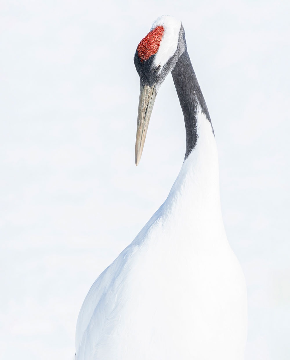 Thí sinh nên tham khảo phong cách của tạp chí trước khi dự thi