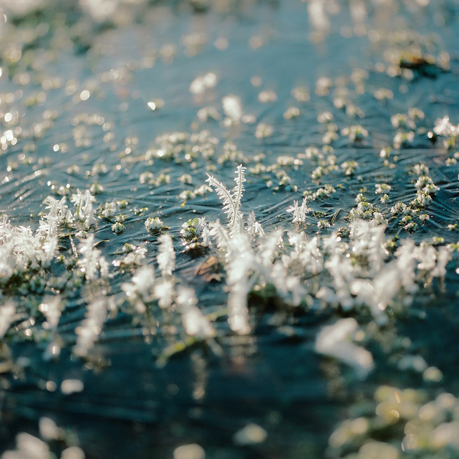 AOP Awards không áp buộc thể loại ảnh