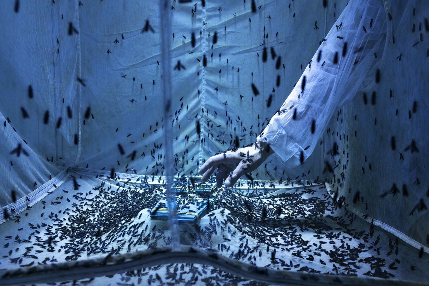 Environmental Photographer of the Year tôn vinh vẻ đẹp môi trường