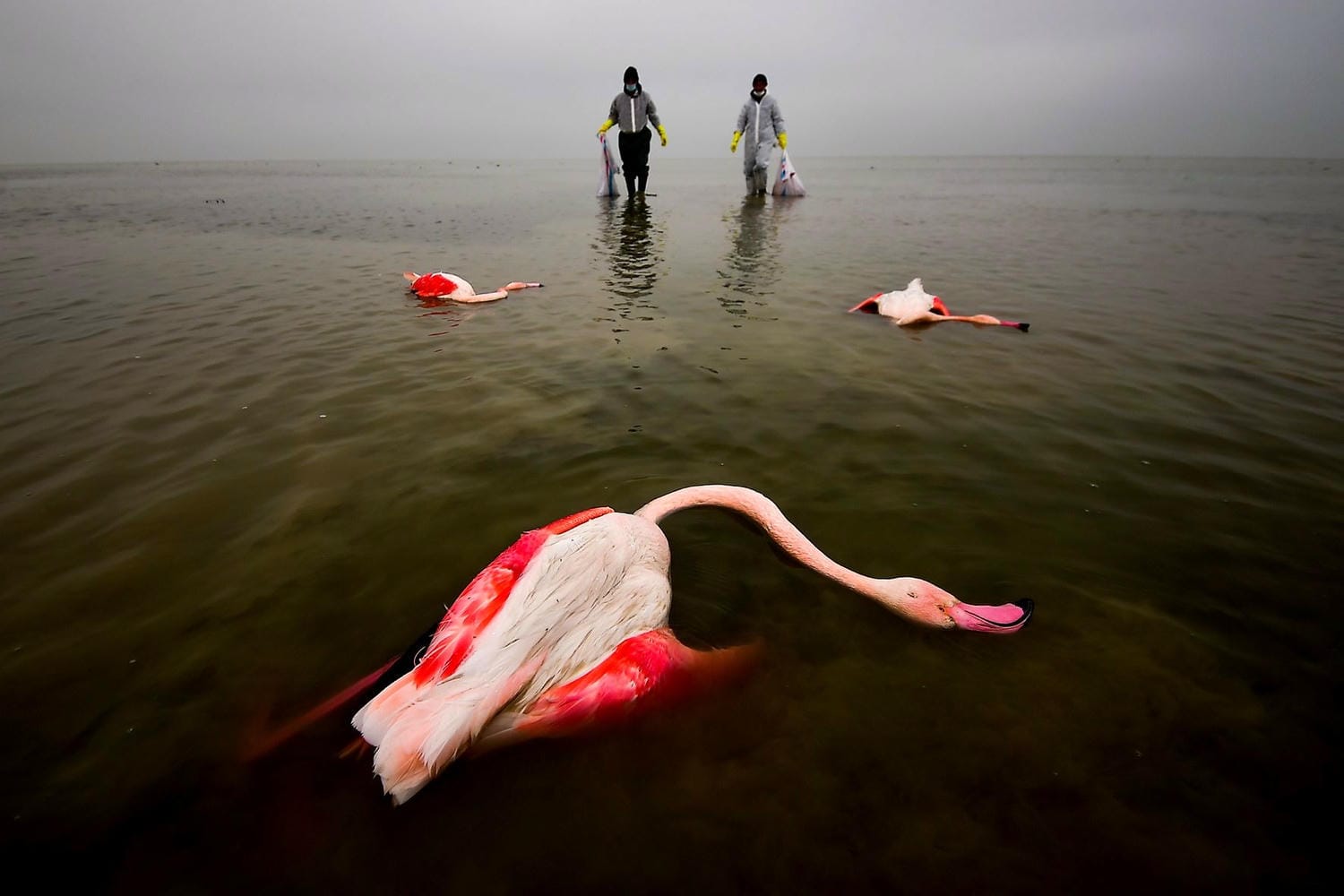  EPOTY khơi gợi nhận thức về tác động của con người lên môi trường