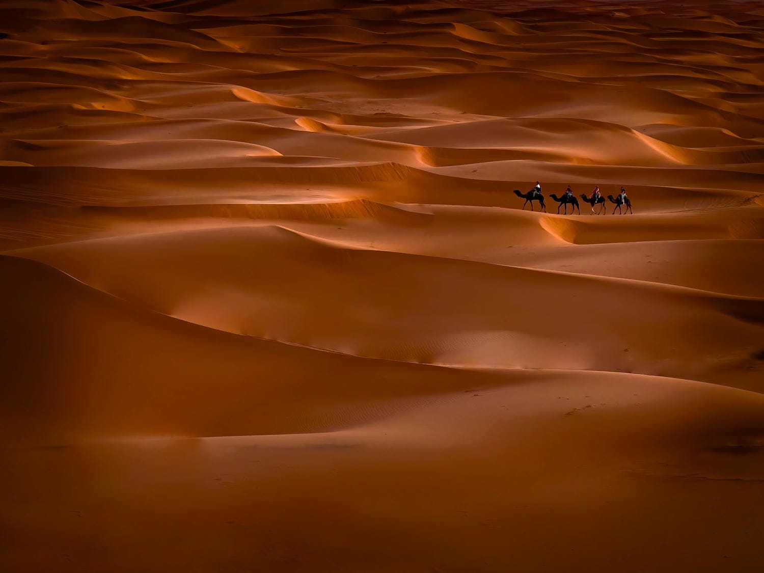 Cuộc thi mở cửa cho nhiếp ảnh gia toàn thế giới