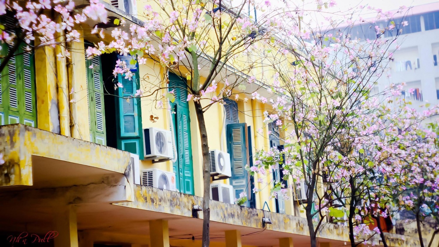 Đầu tư vào các thiết bị chụp ảnh để có kết quả ưng ý