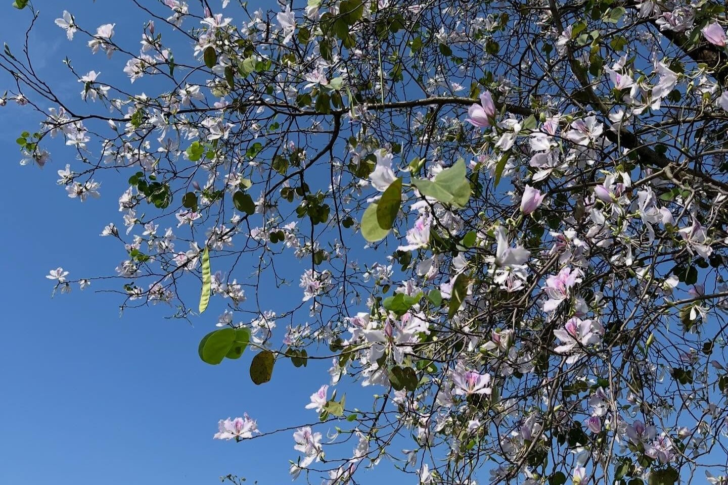 Chú ý về nguyên tắc phối màu để trở nên nổi bật