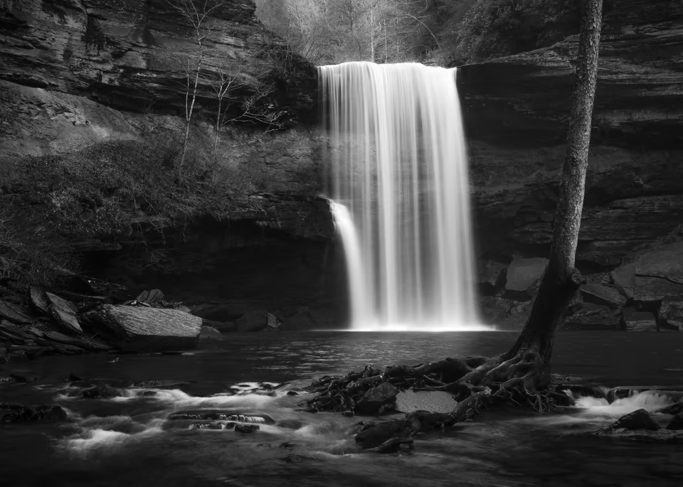 Cách sử dụng chế độ Aperture Priority hiệu quả