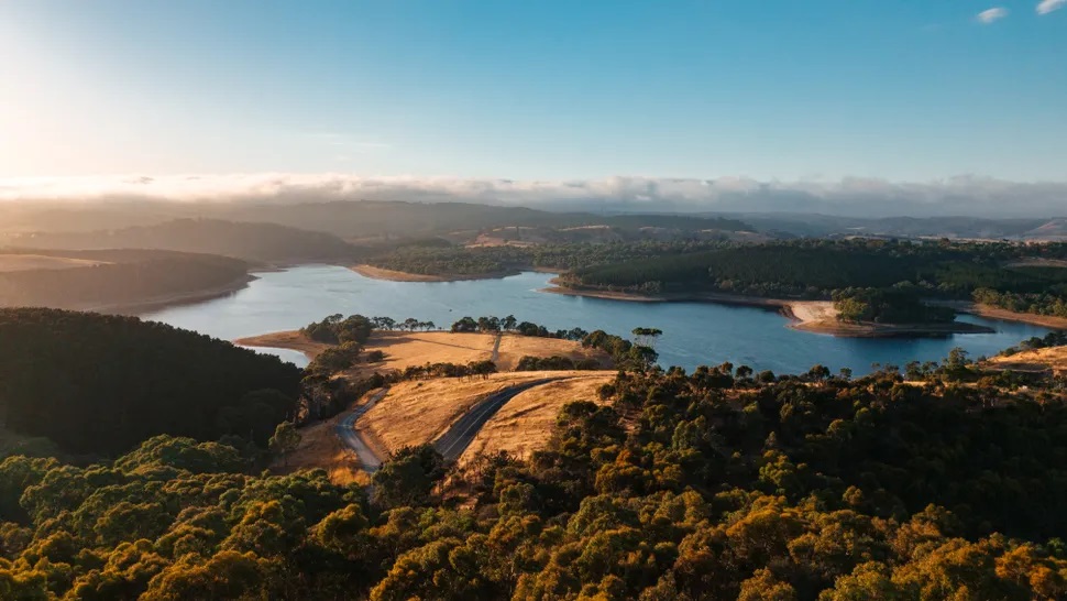 Video 4K60 là tiêu chuẩn, nhưng X1 vượt trội hơn