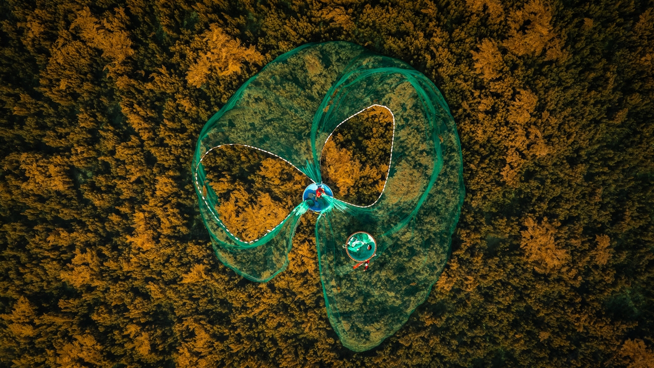 Bức ảnh Butterfly - Thả lưới