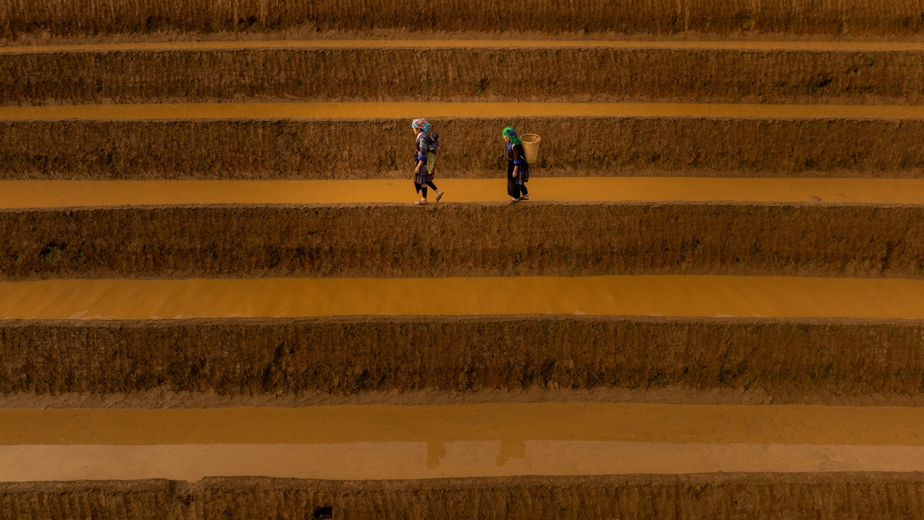 Bức ảnh Journey - Hành trình