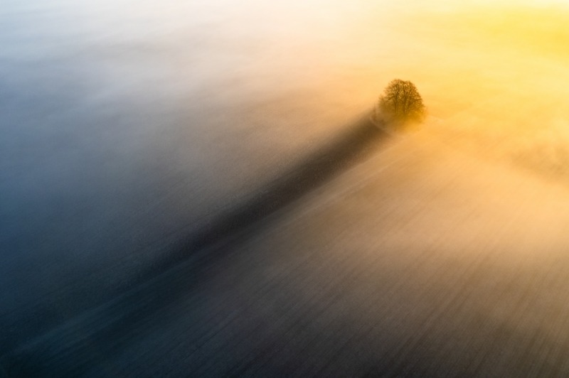 Bức ảnh "The Long Shadow"