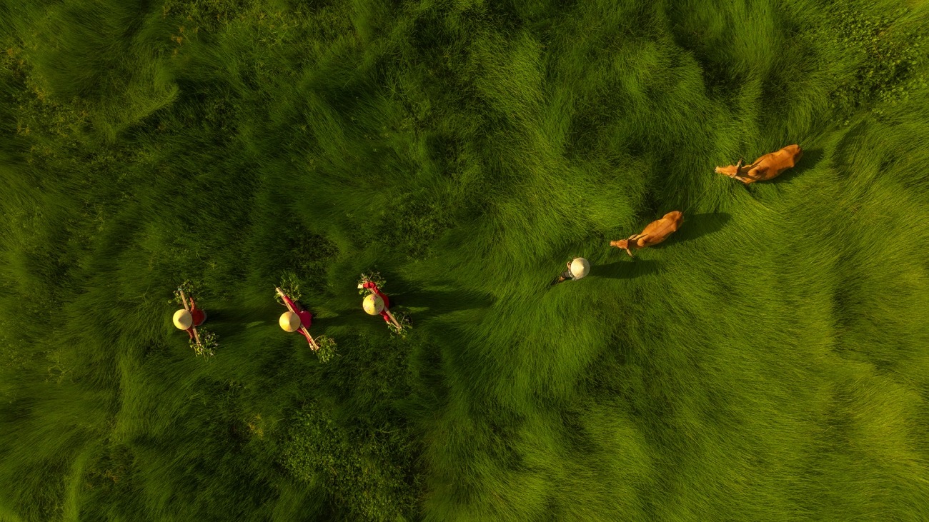 Việt Nam tại Siena Drone Photo Awards