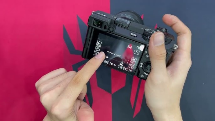 Ống ngắm điện tử và màn hình