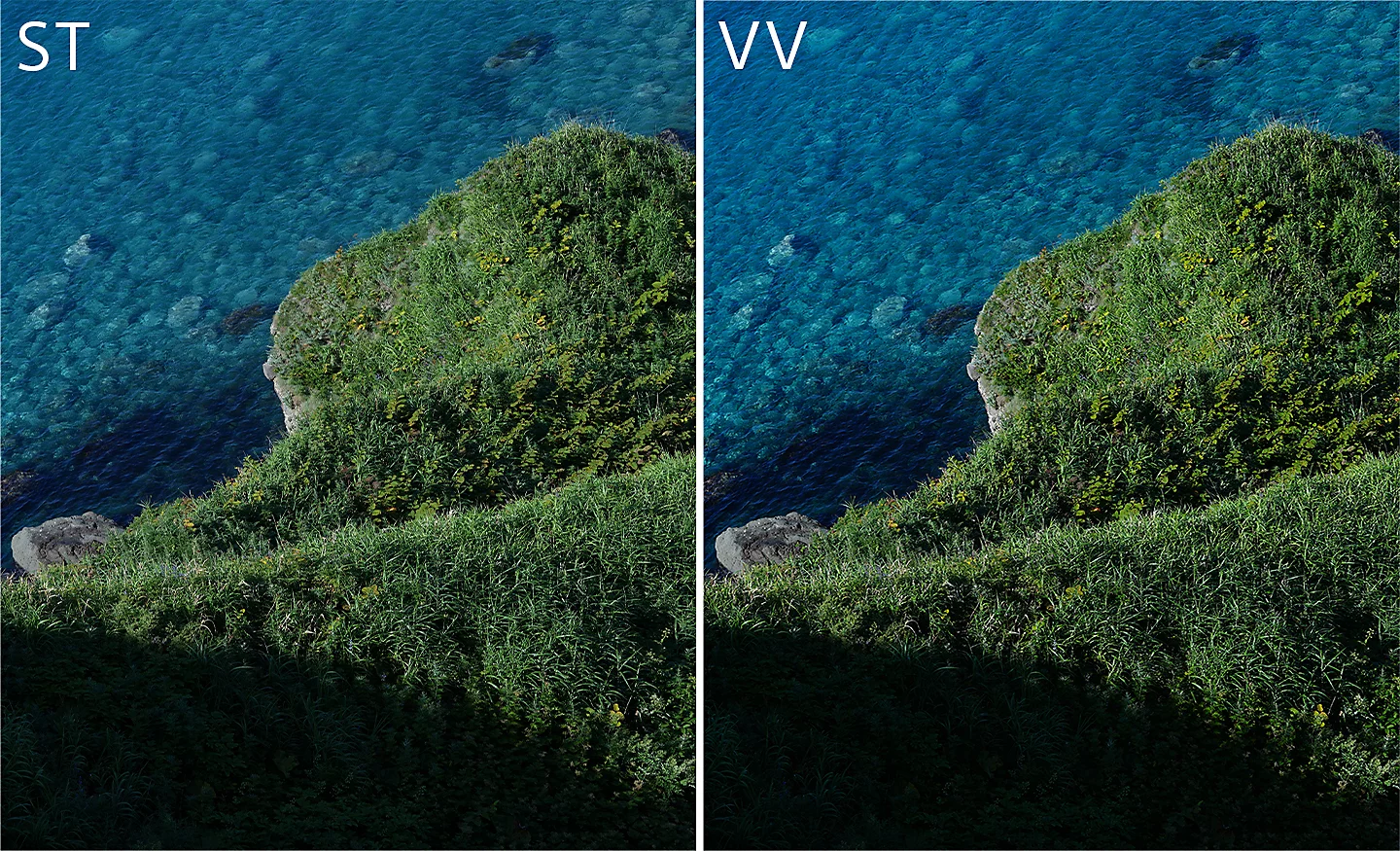 Sony Creative Look có thể được sử dụng cho cả chụp ảnh và quay video