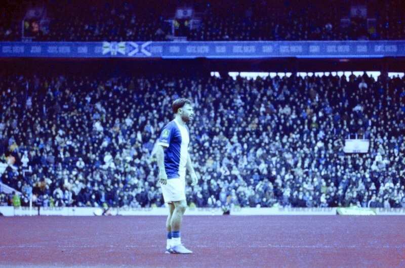 Mặt cỏ chuyển tím dù không nằm trong vùng bị “switch”