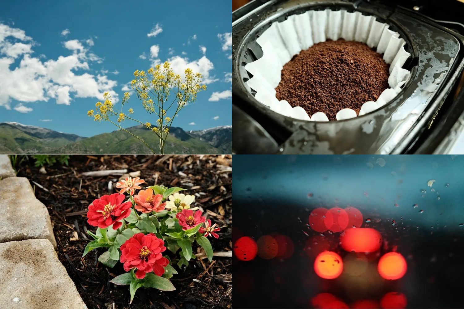 Giả lập màu phim Kodachrome 64 cho Fujifilm