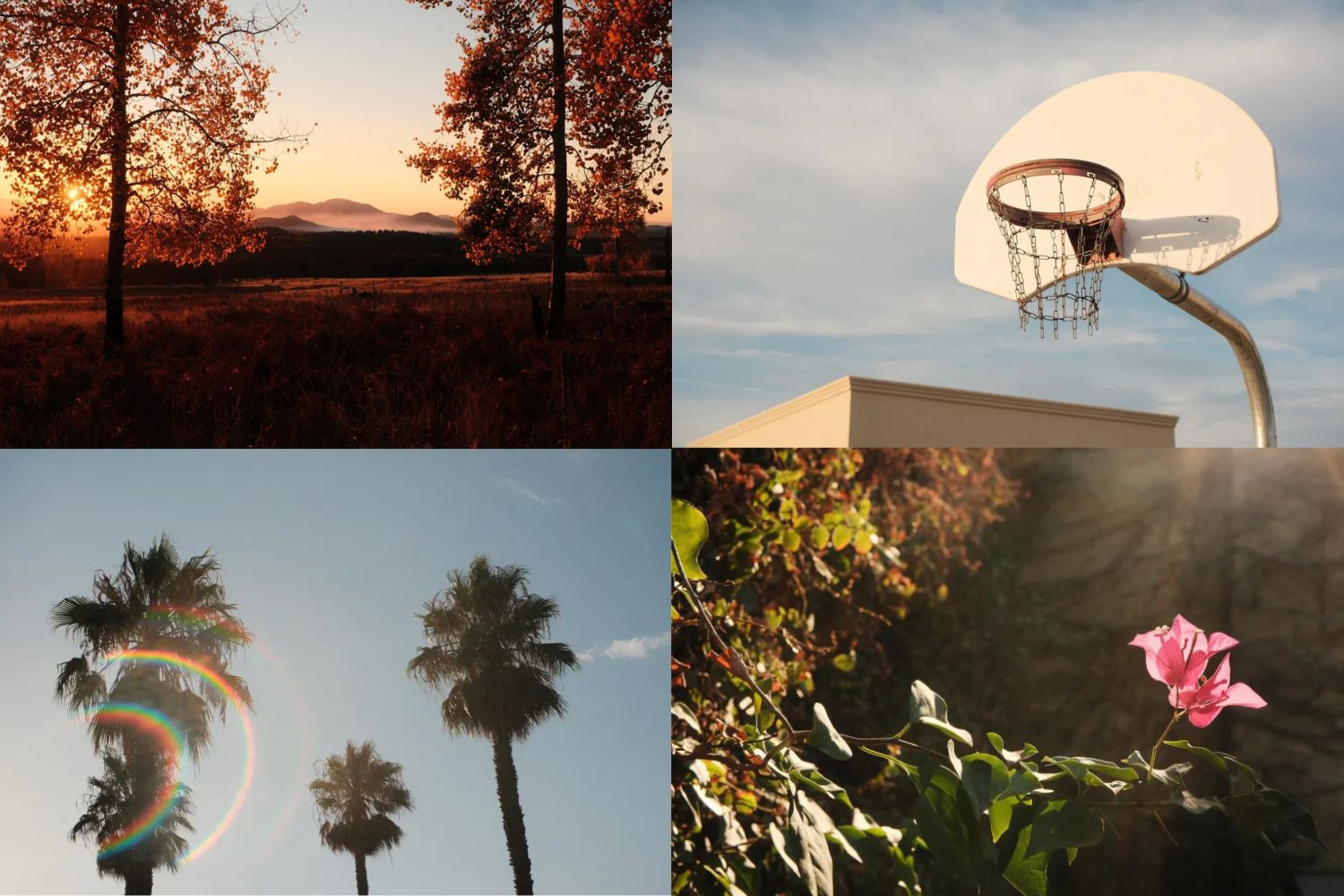 Công thức giả lập màu film Kodak Gold 200 cho máy Fuij