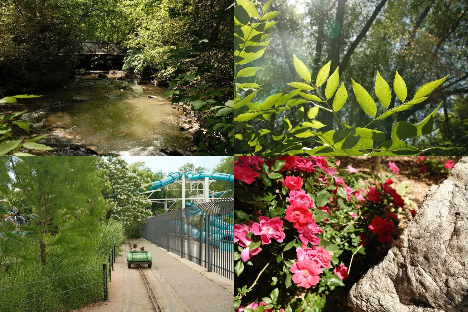 Công thức giả lập màu Kodak Portra 400 Fujifilm