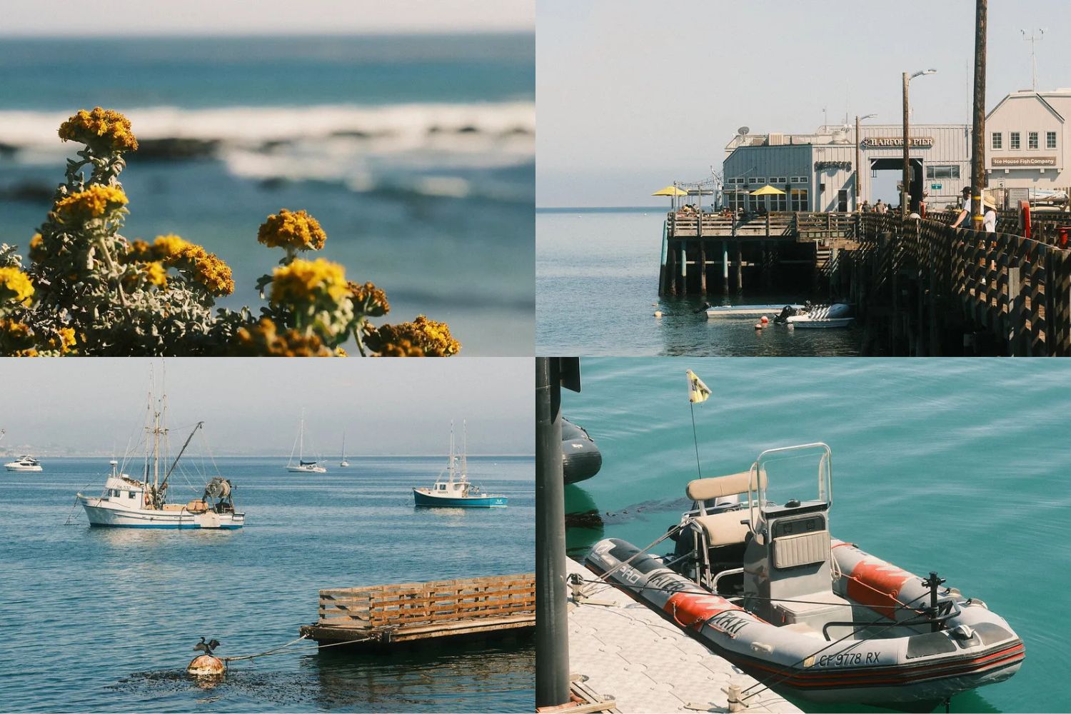 Công thức giả lập màu film Pacific Blues