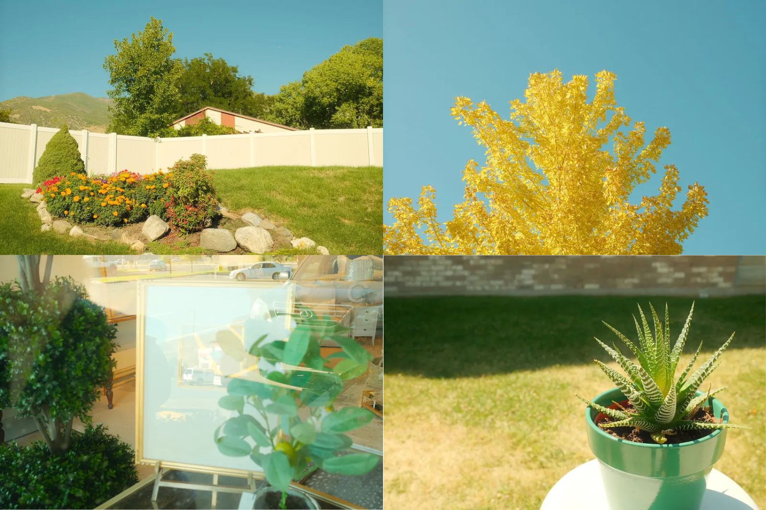 Công thức giả lập màu film Bright Summer trên Fujifilm