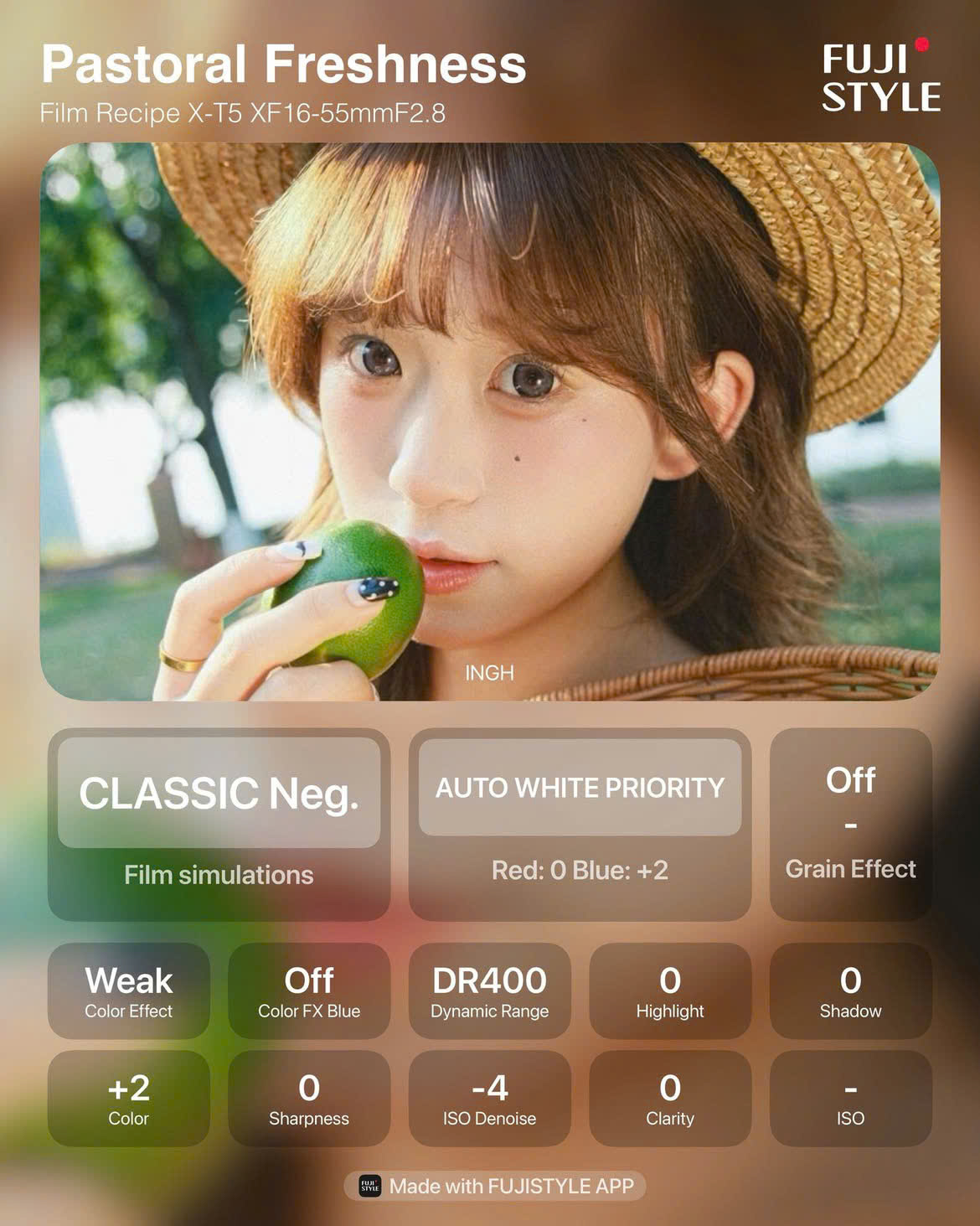 Pastoral Freshness nổi bật với tông màu ấm áp