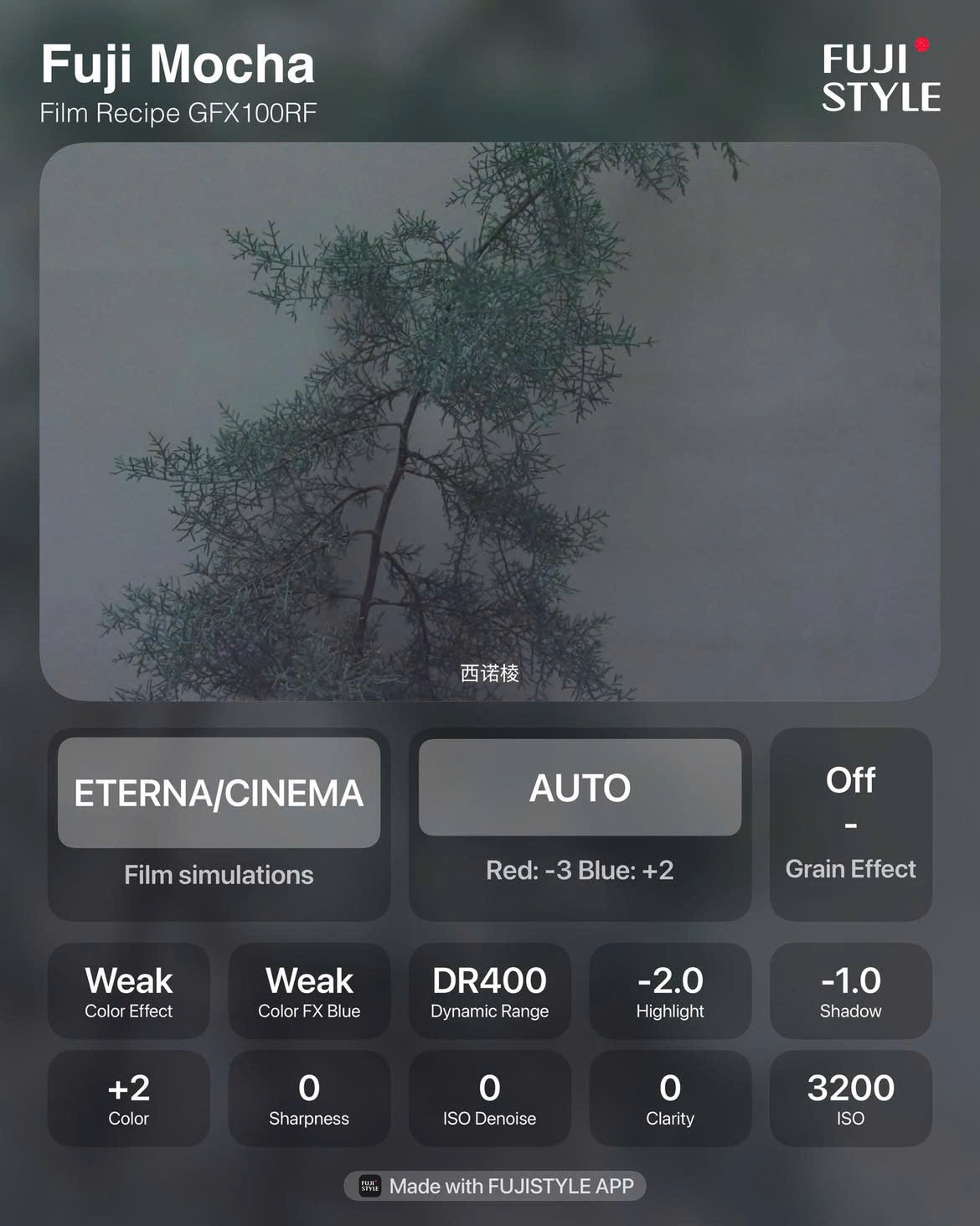 Fuji Mocha sử dụng giả lập phim ETERNA/CINEMA