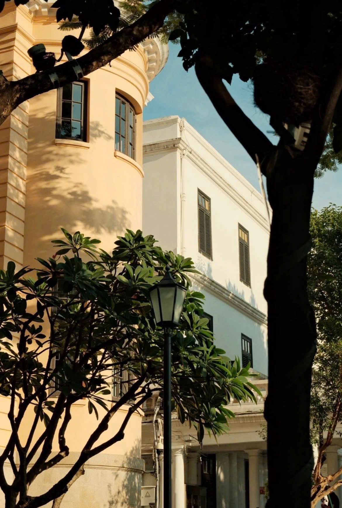 Coffee Latte nổi bật với tông màu ấm ấp, độ bào hòa cao