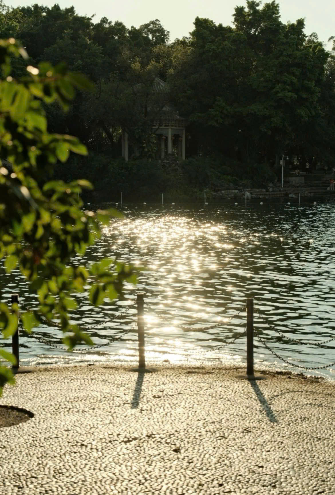 Coffee Latte thích hợp cho chụp chân dung ngoại cảnh dưới nắng