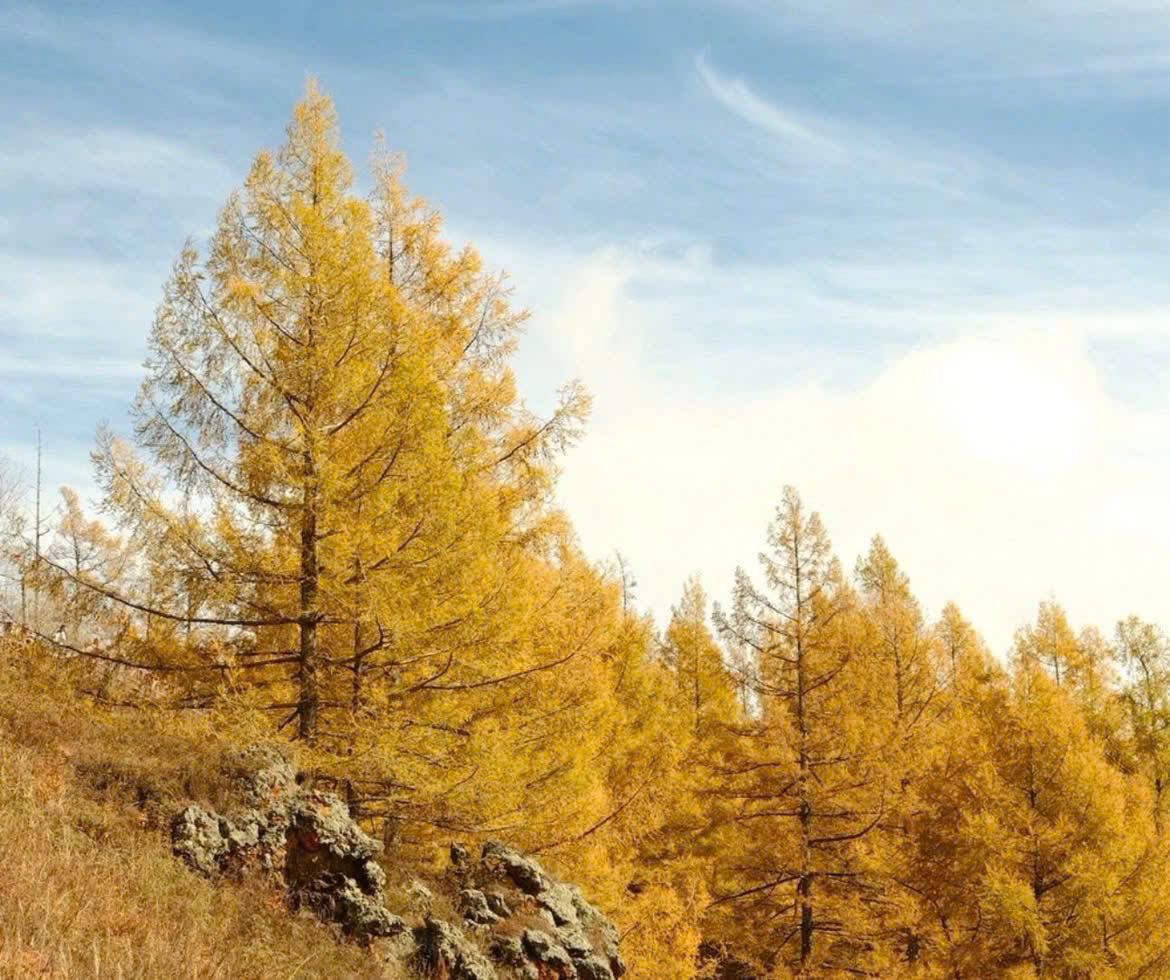 Công thức màu Fujifilm - Golden Hour