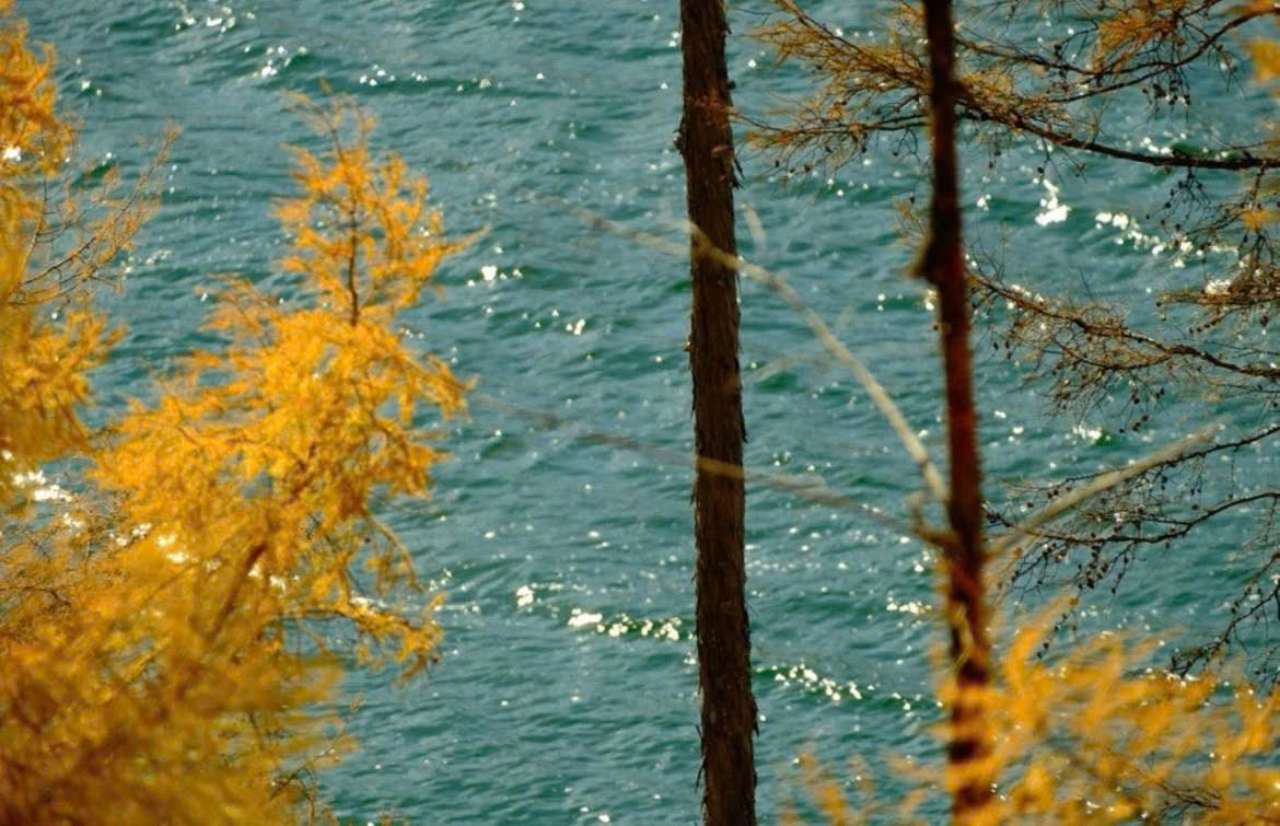 Công thức màu Fujifilm - Golden Hour