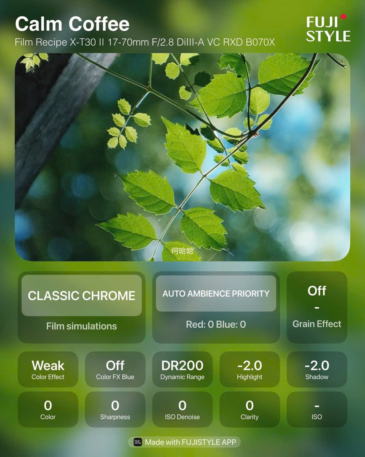  Công thức màu Fujifilm Calm Coffee