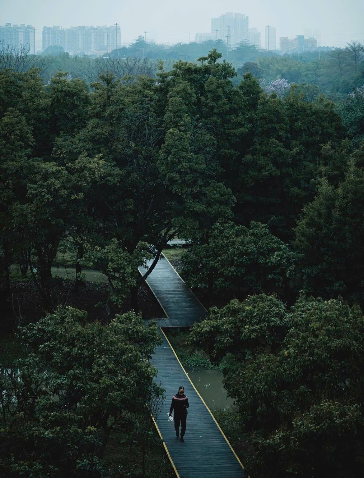 Fujifilm Calm Coffee thích hợp cho ảnh phong cảnh với nhiều cây xanh