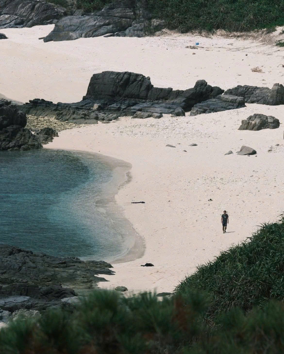 Ocean Latte thích hợp chụp ngoại cảnh biến