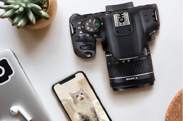 Canon EOS 850D - mẫu máy ảnh DSLR dành cho các nhiếp ảnh gia chuyên nghiệp