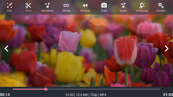 Androvid là phần mềm edit video trên điện thoại cho máy Android