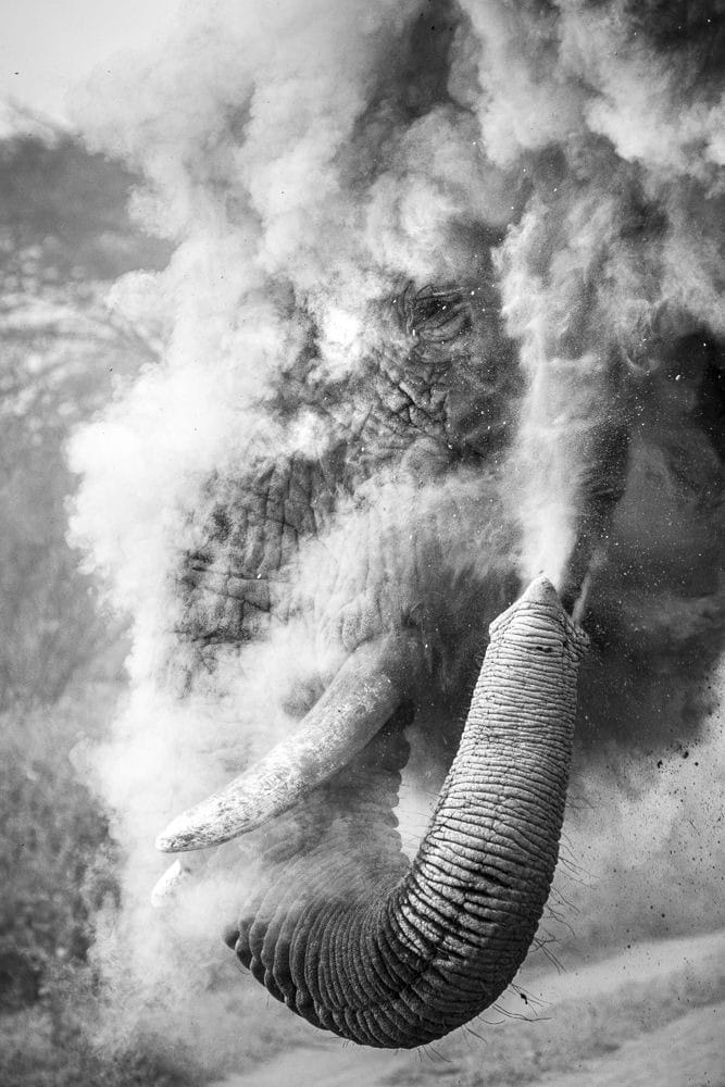 Hạng mục Travel in Monochrome - Dana Allen