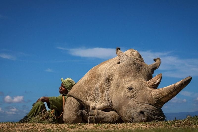Travel Photographer of the Year - giải thưởng nhiếp ảnh du lịch quốc tế uy tín