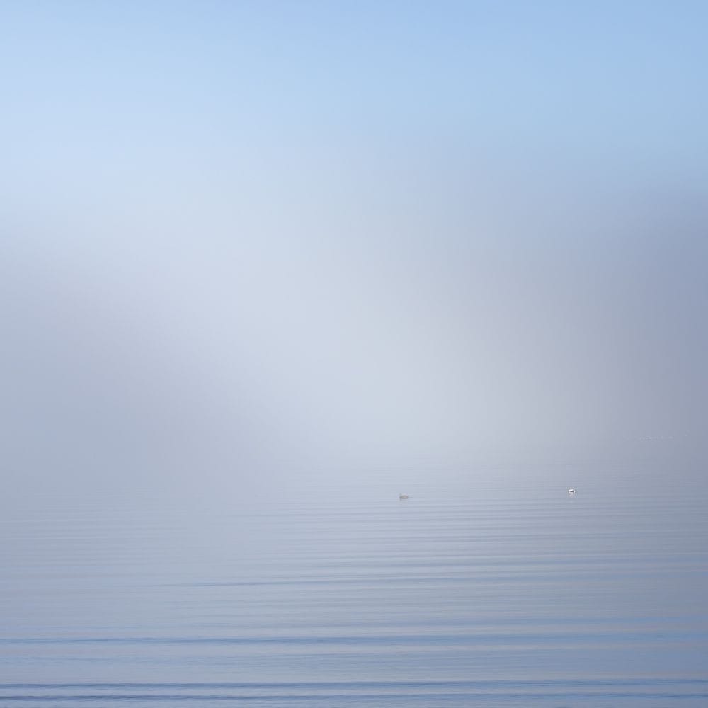 Mist - Paul Sansome
