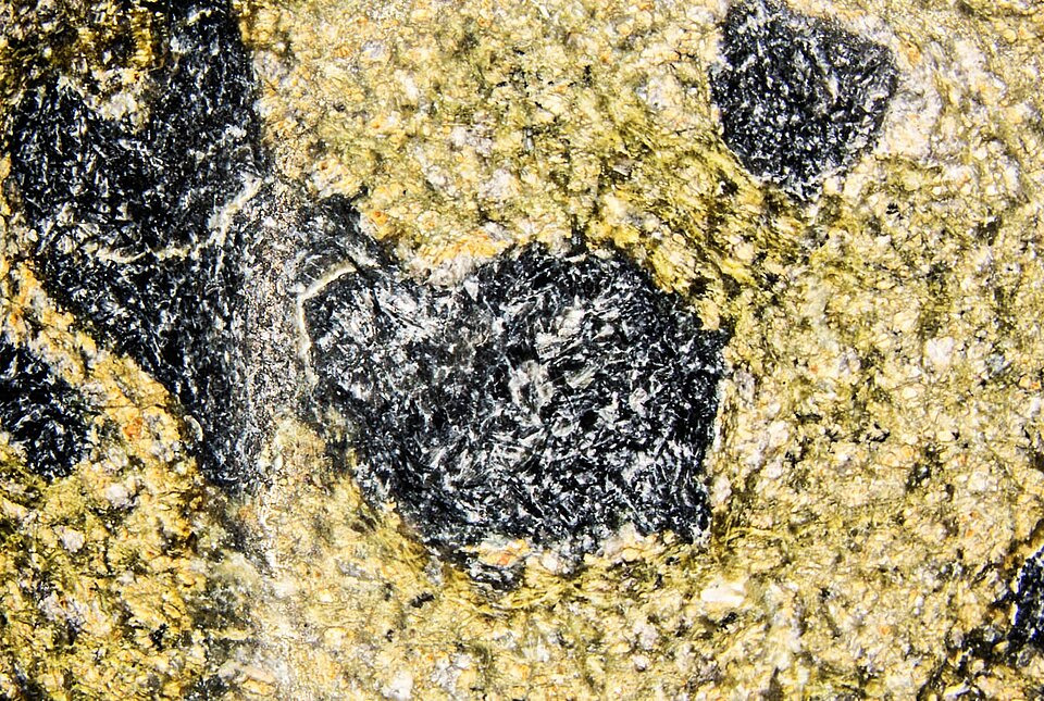 Ảnh chụp Serpentine