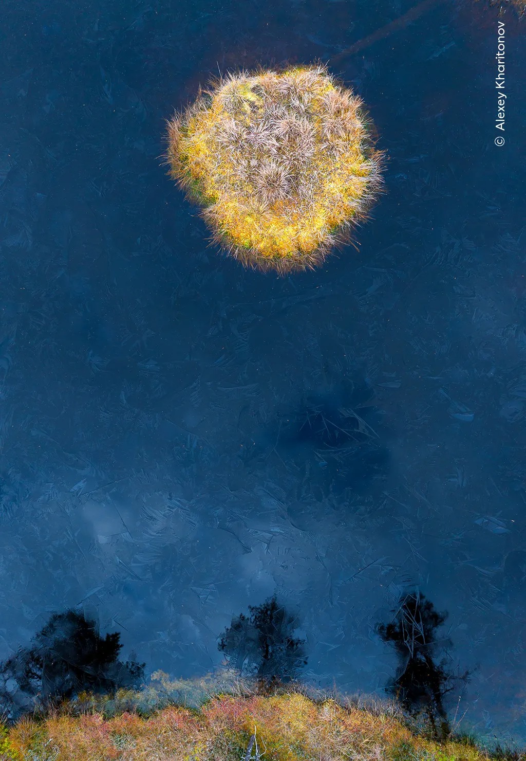 Bức ảnh “Trăng trên đầm Taiga”