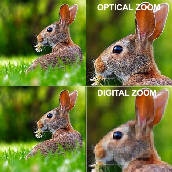 Sử dụng Zoom quang học hay Zoom kỹ thuật số phụ thuộc vào mục đích